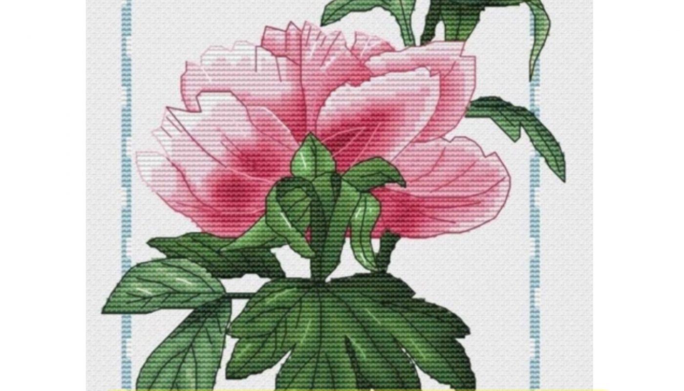 “Peonies” - Free Cross Stitch Pattern Flowers Nature Design
