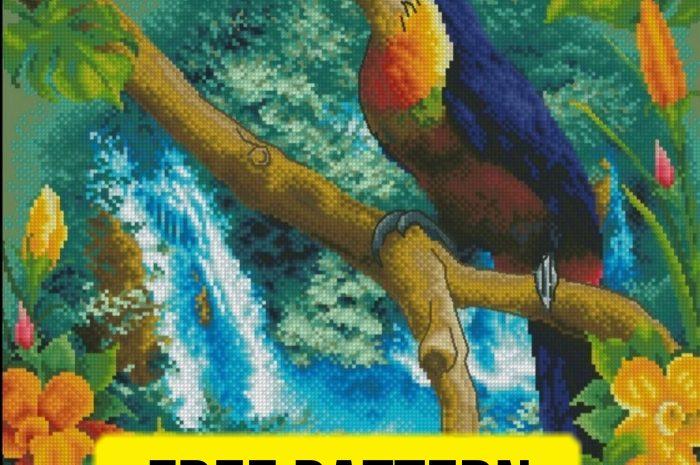 “Parrot” – free cross stitch pattern