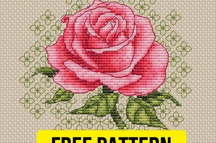 “Rosa” – free cross stitch pattern