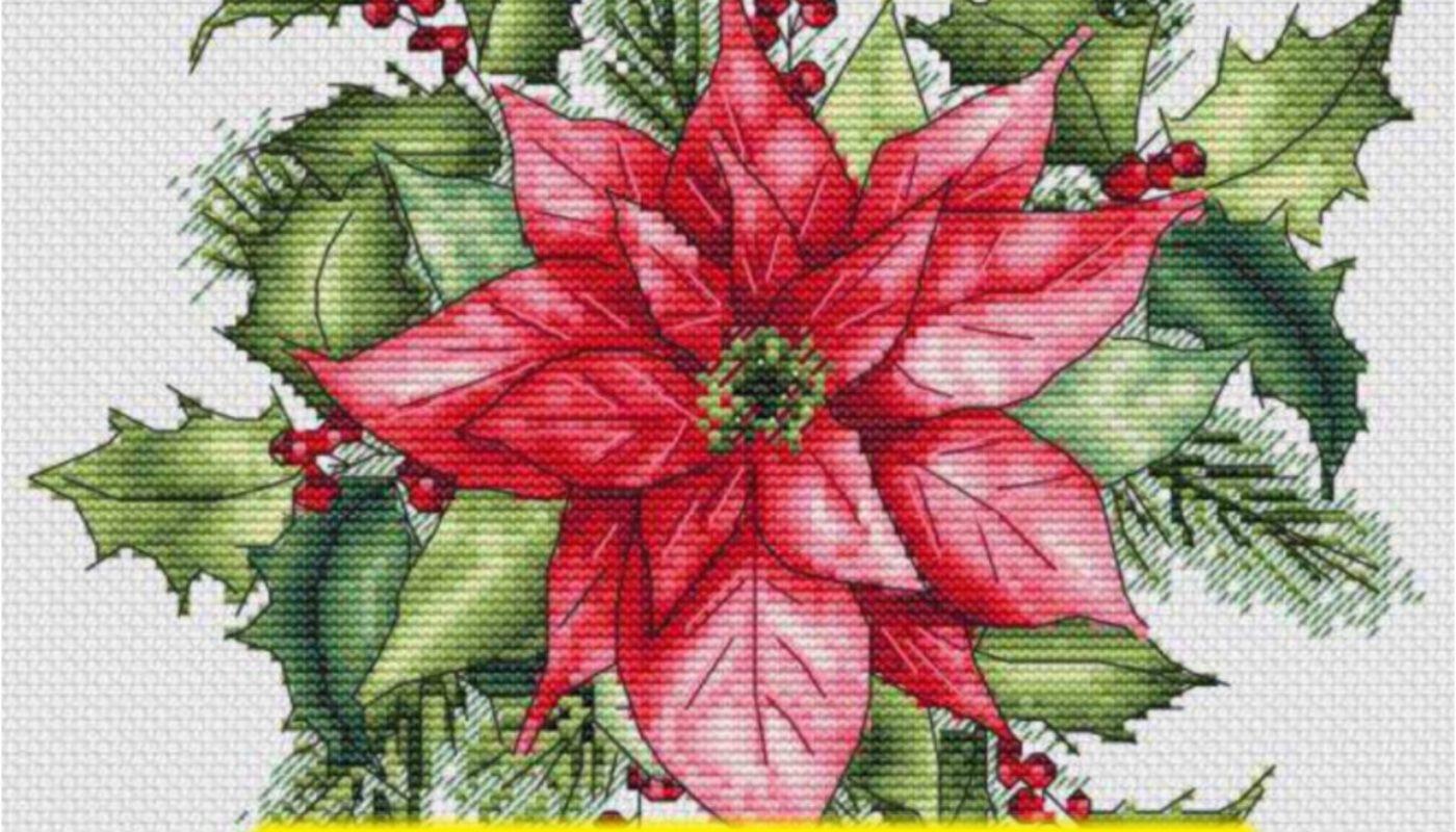Poinsettia - Free Cross Stitch Pattern Flowers Download