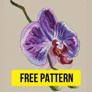 Orchid Flower - Free Cross Stitch Pattern Nature Design