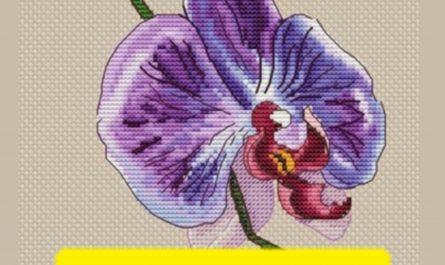 Orchid Flower - Free Cross Stitch Pattern Nature Design