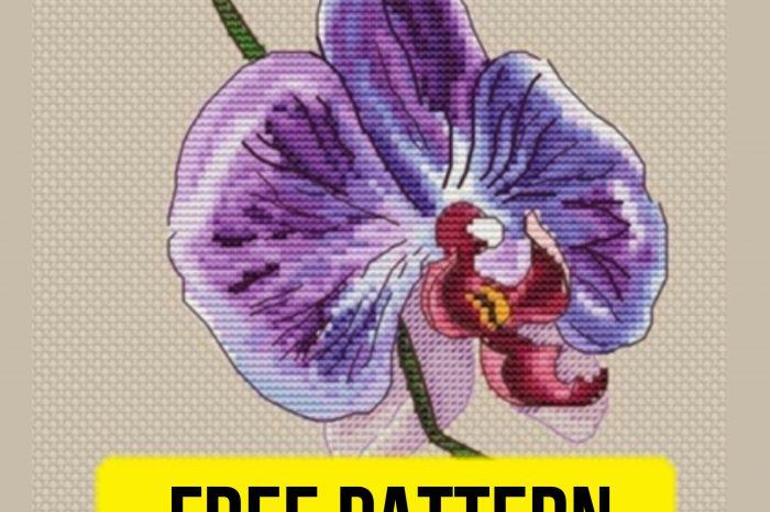 “Orchid” – free cross stitch pattern