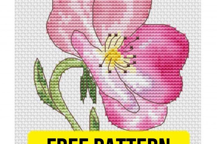 “Wild rosa” – free cross stitch pattern