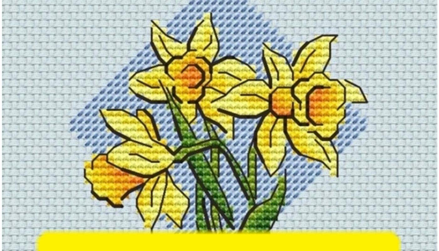 Narcissus - Free Cross Stitch Pattern Flowers Nature Spring ﻿﻿