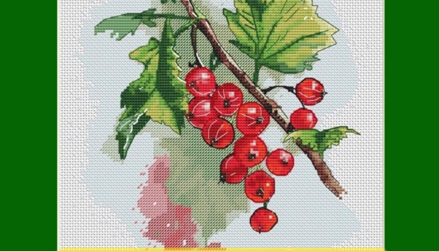Free cross stitch pattern with red current designed by Zhanna Dik.