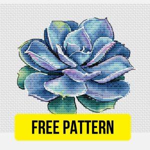 Free cross stitch pattern with succulent flower designed by Svetlana Shakhnovich.